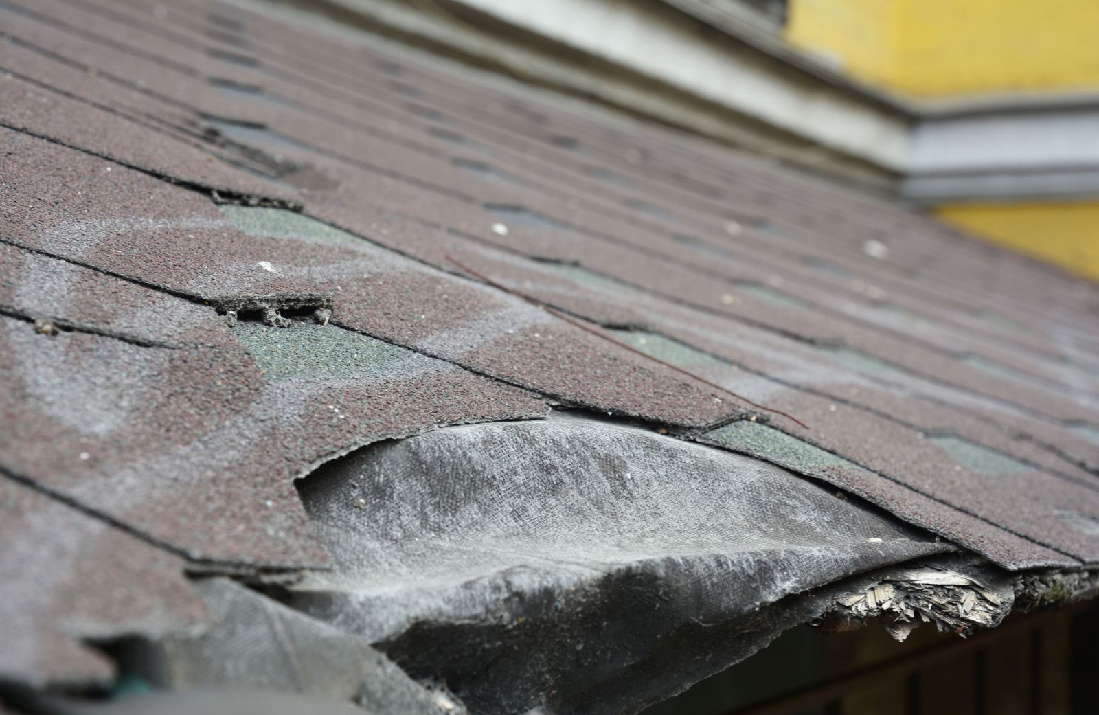 Lira Roofing Images